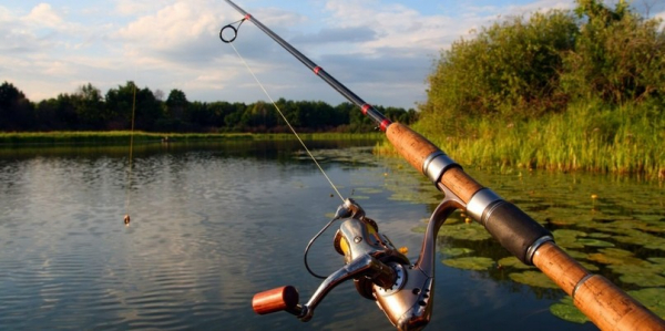 Рейтинг 7 лучших спиннингов для рыбалки: какое выбрать, отзывы, цена