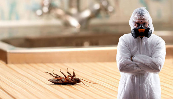Рейтинг 7 лучших средств от тараканов: какое выбрать, виды, отзывы, цена